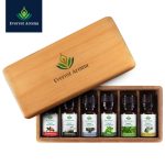 Arthritis and Pain Reliver Kit